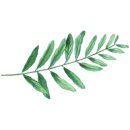 (주)정담다