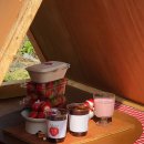 딸기밭 부농 이미지