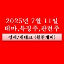(주)스마트브랜즈 | 7월 11일 특징주(탈플라스틱 관련주, 자사주 비중 상위종목, 반도체, 스테이블코인, 비대면진료, 태양광...