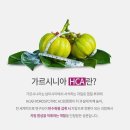 에이스바디 이미지