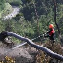 연기1리 마을회관 이미지