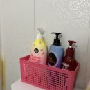 청도프로방스카라반 | 청도숙소추천 프로방스카라반펜션 핑크카라반 내돈내산 솔직후기