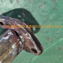 로뎀모터스 이미지