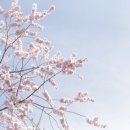 의료법인 인해의료재단 이미지