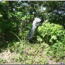 선명사슴농장 이미지