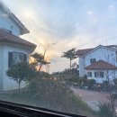 빌라마래 이미지