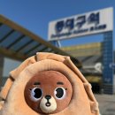 THE 짝 | [공지] #데식이 덕질일기 : 데이식스 10주년 The DECADE 전국투어 in 대구 (DAY1 &amp; DAY2 콘서트 후기)