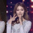 솜이랑 이미지