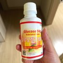 하품 | [24주 차] 세인트마리 임당 검사 후기, 하품하는 아기 보기