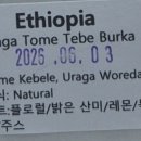 제주커피로스테리아