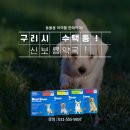 신보룡약국 이미지