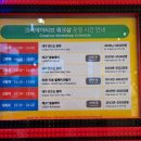 초등남매와 레고랜드&amp;레고랜드호텔 킹덤룸 평일 후기