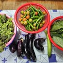 단성지역아동센터 이미지