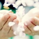 커피향기 - 수원시 장안구 연무로56번길 46-29 | 커피향기