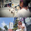 비하인드 이미지