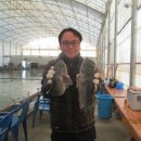 노지하우스 이미지