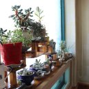 동촌추어탕 이미지