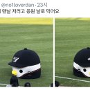 수리야 Daum카페
