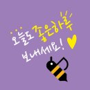 든든한파출부광교