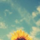 희망의 의자 이미지