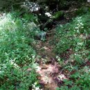 효동1리 이미지