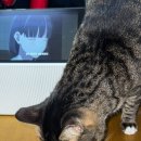 어림5길 이미지