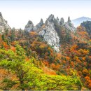 가을민박 이미지