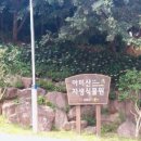 아미산자생식물원 이미지