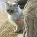 너즐(Nuzzle)