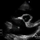 제주24시숨동물의료센터 이미지