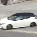 풀리프