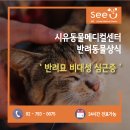 24시 시유동물메디컬센터 이미지