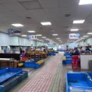 주)씨랜드 티스토리