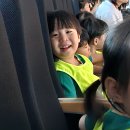 쿵짝쿵짝 뮤직트레인 이미지