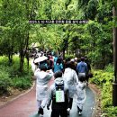 무돌길 | 500여 명 자원봉사자와 함께한 전국 무돌길 완주 대회 시민 코스 완주기