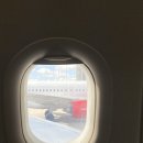 진품 찐짬뽕 | 4월: 바쁘다 바빠 젊은이 여행