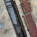 성심세차장 이미지