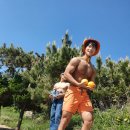 제우스짐 이미지