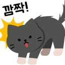 [추천] 난청의 기초에 대해 알고, 난청인 이해하기 이미지