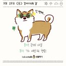 몽스케치 이미지