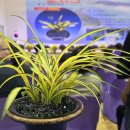 신안군민체육관 체육관 이미지