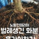 원탑바이오 이미지