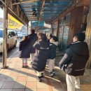 금성주단 이미지