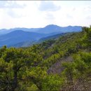 수덕펜션 이미지