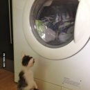 드럼 (시작) 이미지