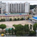 포항동부초등학교 이미지