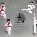 용인대쌍용태권도 이미지