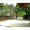 제25호 어린이공원 이미지