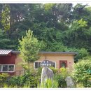 강릉커피박물관 이미지