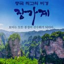 제 505회 정기 산행 중국 장가계 해외 트레킹 3박 4일 (2026.10.9~12) 이미지